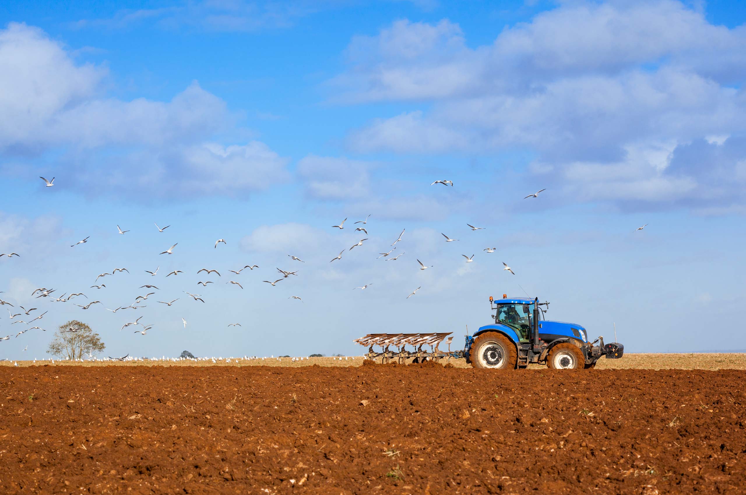 field